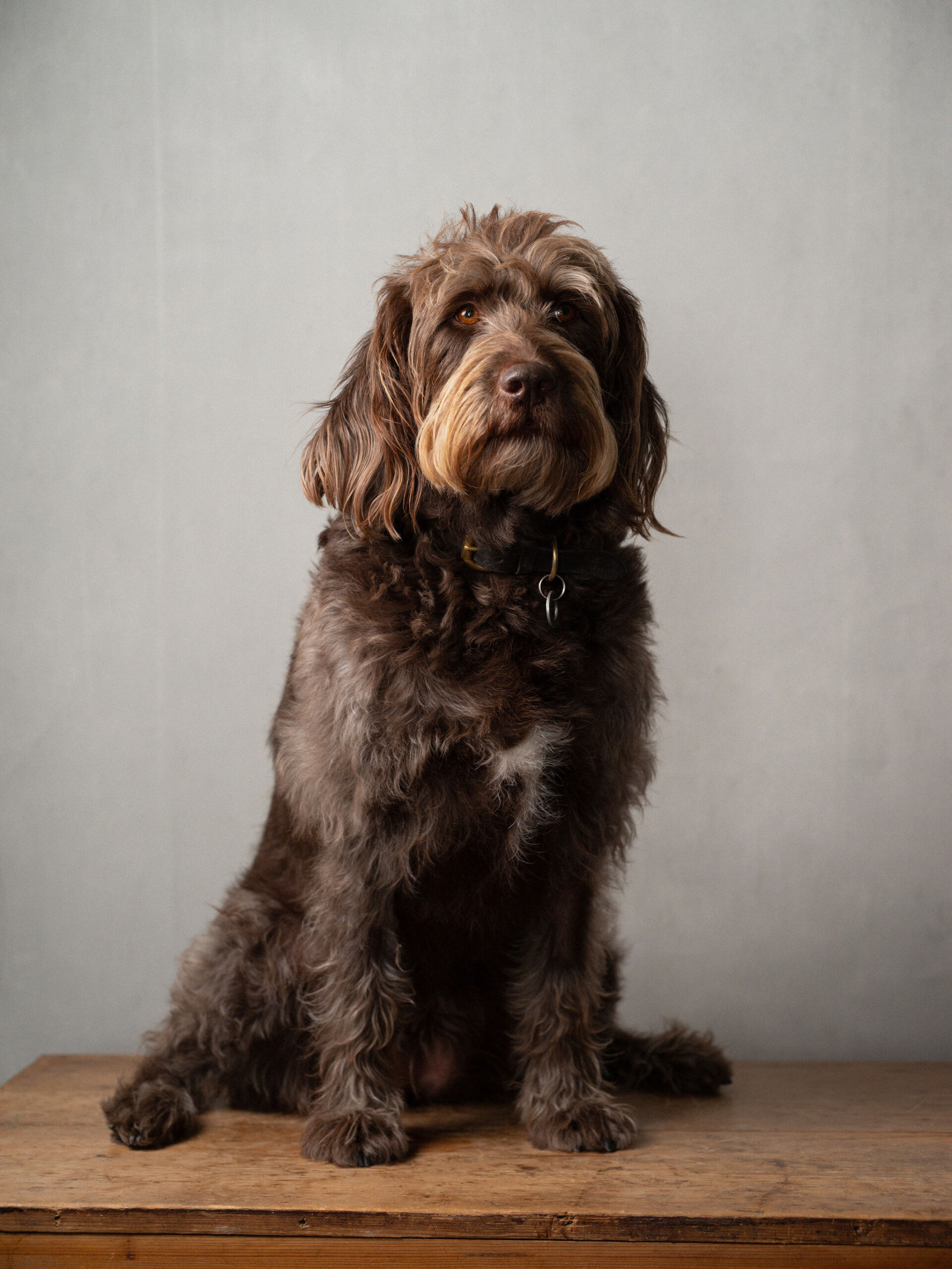 Background image for Lexie Lester